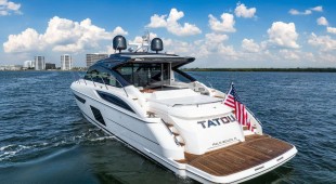 Tatou Caribbean, East Coast United States