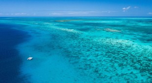 The Big Leboatski Belize