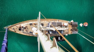 The Dove Caribbean