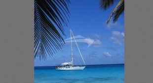 The Dove Caribbean