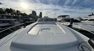 The Gorilla USA - Florida East Coast