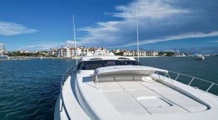 The Gorilla USA - Florida East Coast