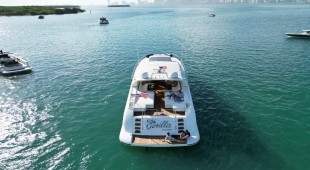 The Gorilla USA - Florida East Coast