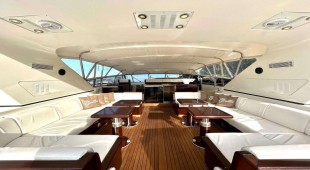 The Gorilla USA - Florida East Coast