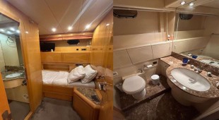 The Gorilla USA - Florida East Coast