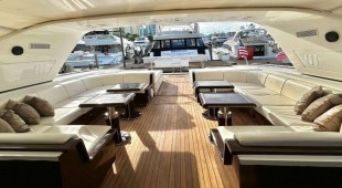 The Gorilla USA - Florida East Coast