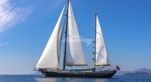 Tigra East Mediterranean