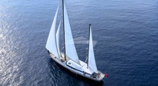 Tigra East Mediterranean