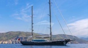 Tigra East Mediterranean
