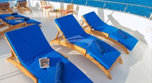 Tip Top Ii West Coast South America, East Coast South America