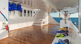 Tip Top Ii West Coast South America, East Coast South America