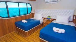 Tip Top Ii West Coast South America, East Coast South America