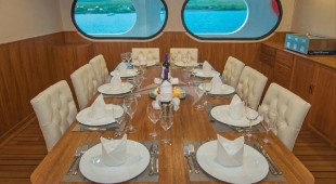 Tip Top Ii West Coast South America, East Coast South America