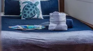 Tortuga Caribbean