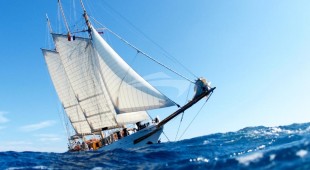 Trinakria East Mediterranean, West Mediterranean