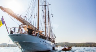 Trinakria East Mediterranean, West Mediterranean