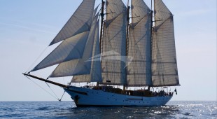 Trinakria East Mediterranean, West Mediterranean