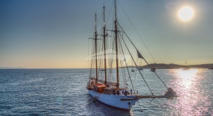 Trinakria East Mediterranean, West Mediterranean