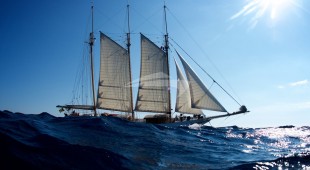 Trinakria East Mediterranean, West Mediterranean