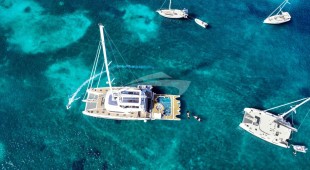 Triwing Endor Caribbean