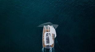 Triwing Endor Caribbean