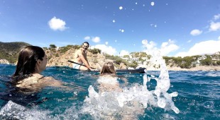 Triwing Endor Caribbean