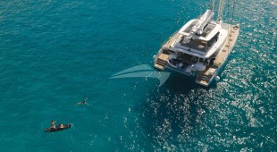 Triwing Endor Caribbean