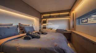 Triwing Endor Caribbean