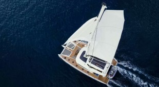 Triwing Endor Caribbean