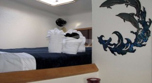 Turquoise Turtle Caribbean