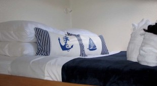 Turquoise Turtle Caribbean