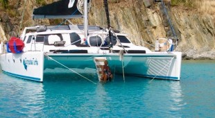 Turquoise Turtle Caribbean