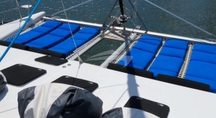 Turquoise Turtle Caribbean