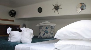 Turquoise Turtle Caribbean