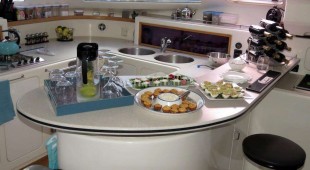 Turquoise Turtle Caribbean