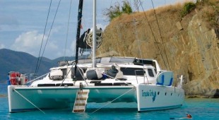 Turquoise Turtle Caribbean