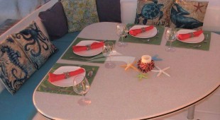 Turquoise Turtle Caribbean