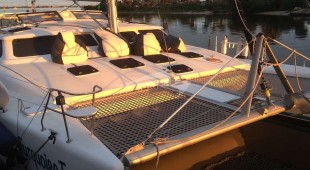 Turquoise Turtle Caribbean