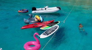 Turquoise Turtle Caribbean