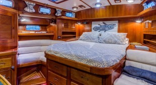 Tyche East Coast United States