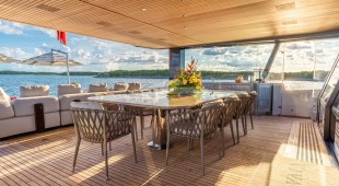 Vivace Caribbean