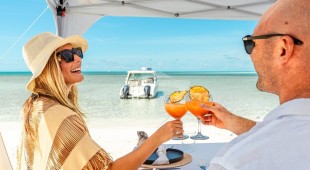 Vivace Caribbean