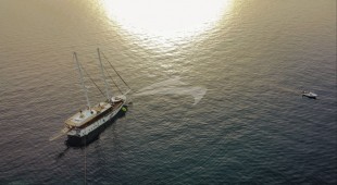 Phoeniz Bronze East Mediterranean