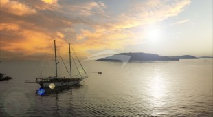 Phoeniz Bronze East Mediterranean