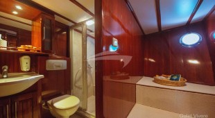 Phoeniz Bronze East Mediterranean