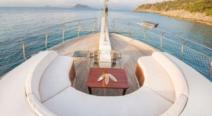 Phoeniz Bronze East Mediterranean