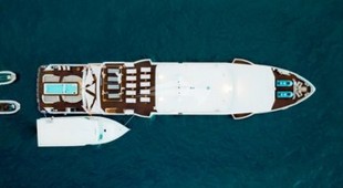 White Pearl Indian Ocean