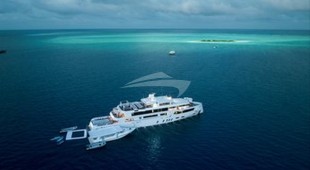 White Pearl Indian Ocean