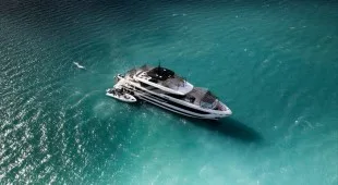 White Star Caribbean