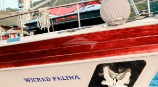 Wicked Felina East Mediterranean